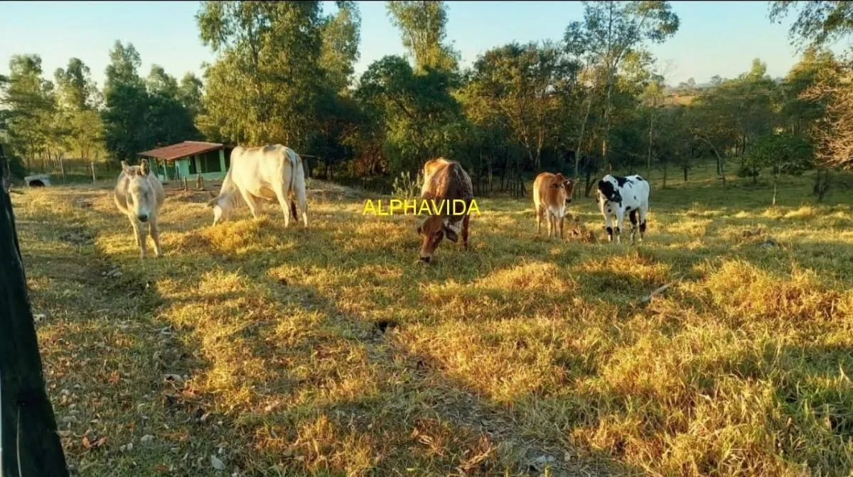 Sítio à venda de 15 ha em Porto Feliz, SP, Brasil