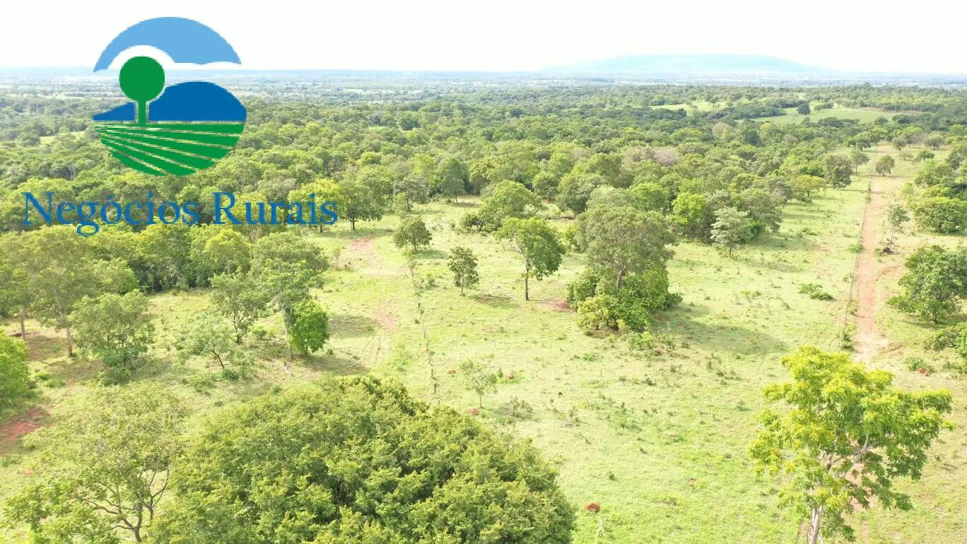 Fazenda à venda de 1.055 ha em Formoso, GO, Brasil