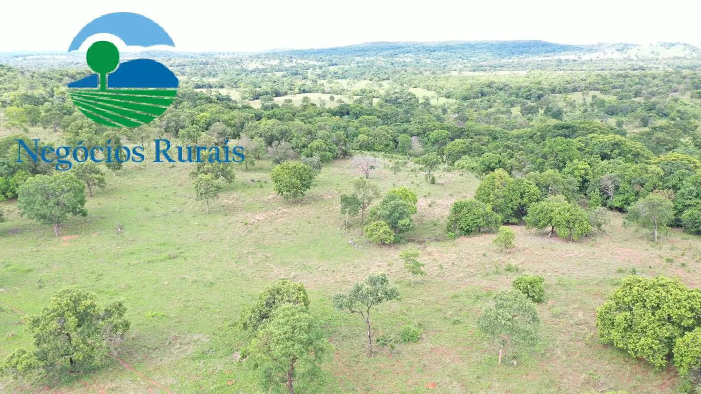 Fazenda à venda de 1.055 ha em Formoso, GO, Brasil