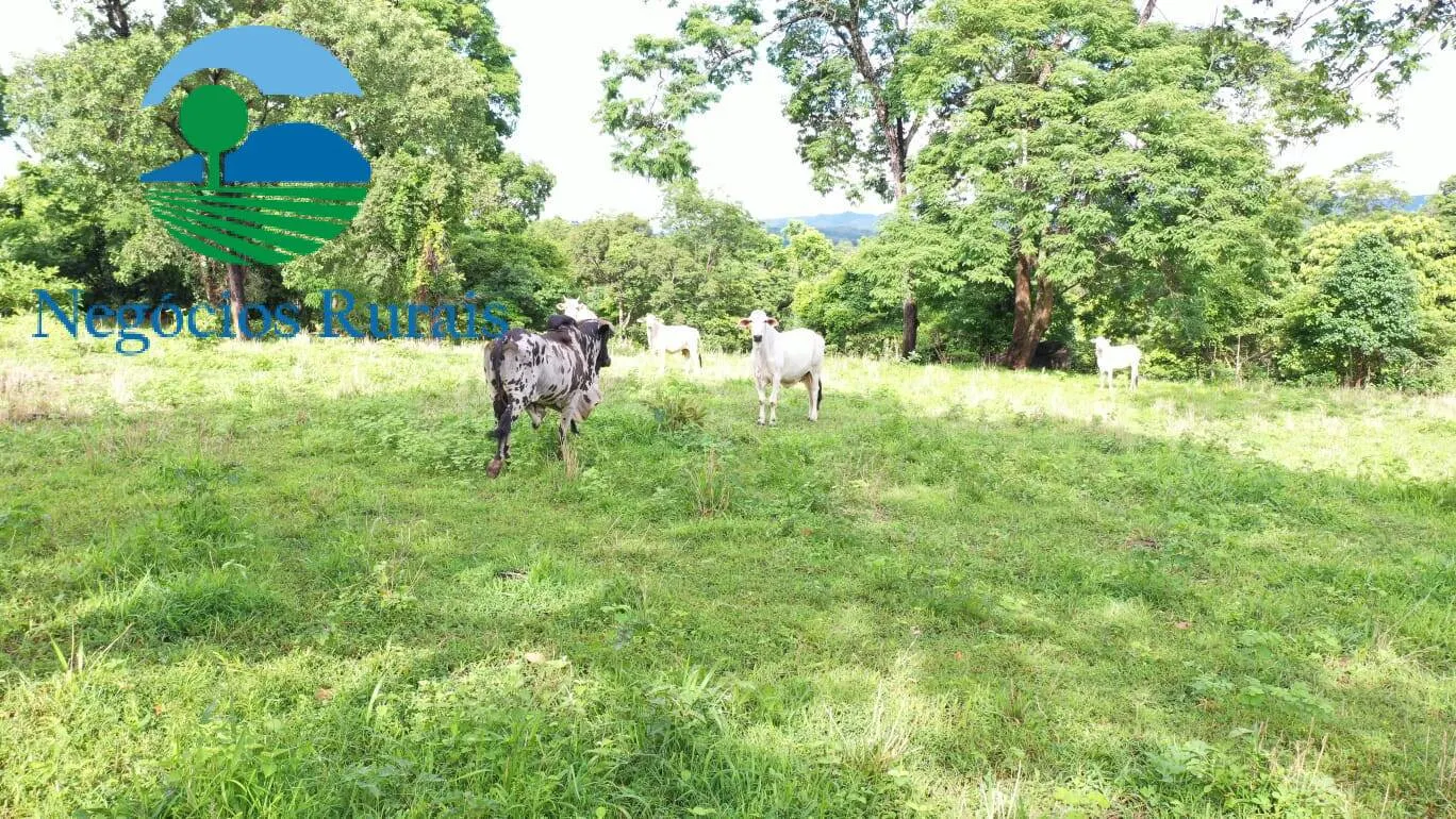 Fazenda à venda de 1.055 ha em Formoso, GO, Brasil
