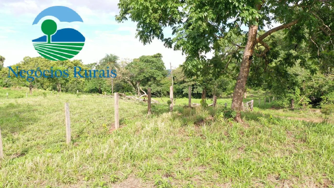 Fazenda à venda de 1.055 ha em Formoso, GO, Brasil
