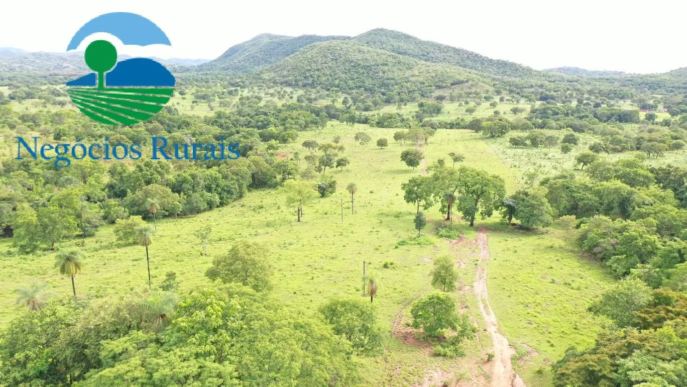 Fazenda à venda de 1.055 ha em Formoso, GO, Brasil
