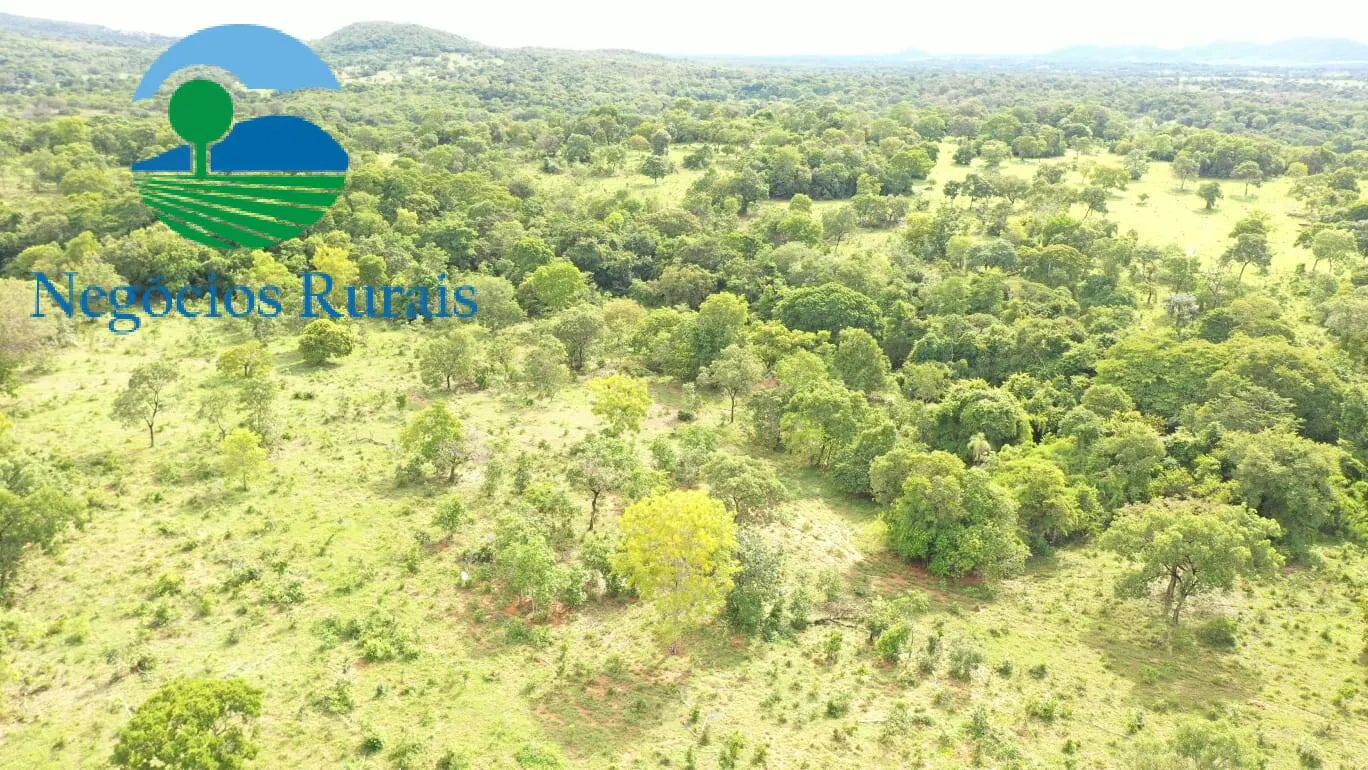 Fazenda à venda de 1.055 ha em Formoso, GO, Brasil