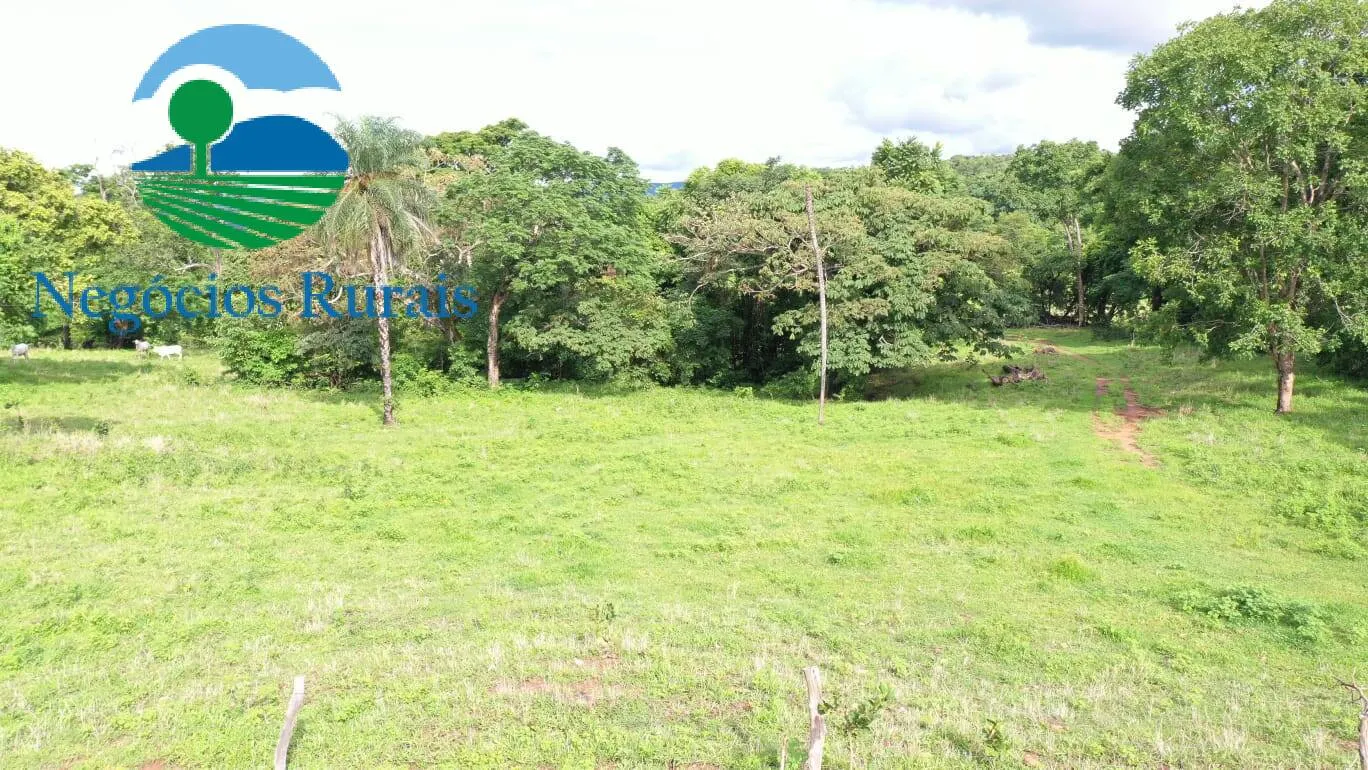 Fazenda à venda de 1.055 ha em Formoso, GO, Brasil