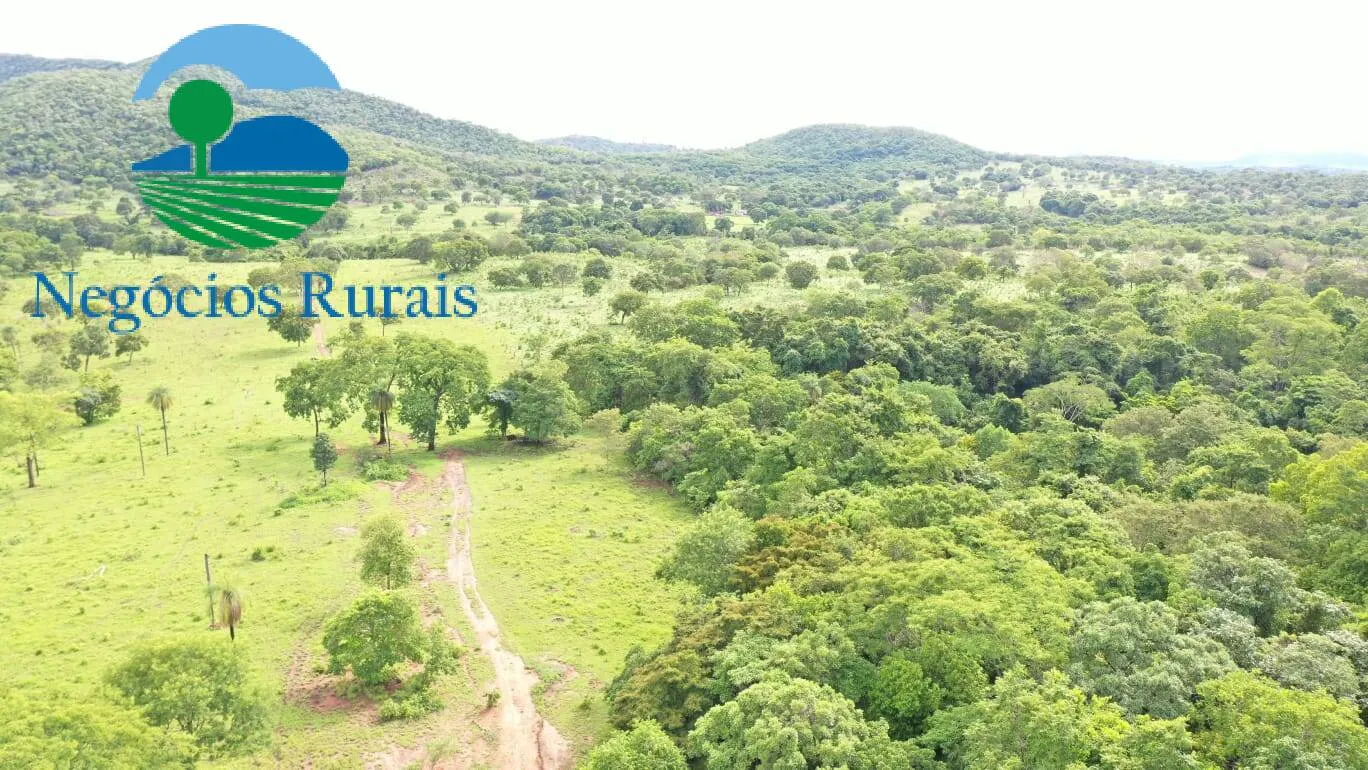 Fazenda à venda de 1.055 ha em Formoso, GO, Brasil