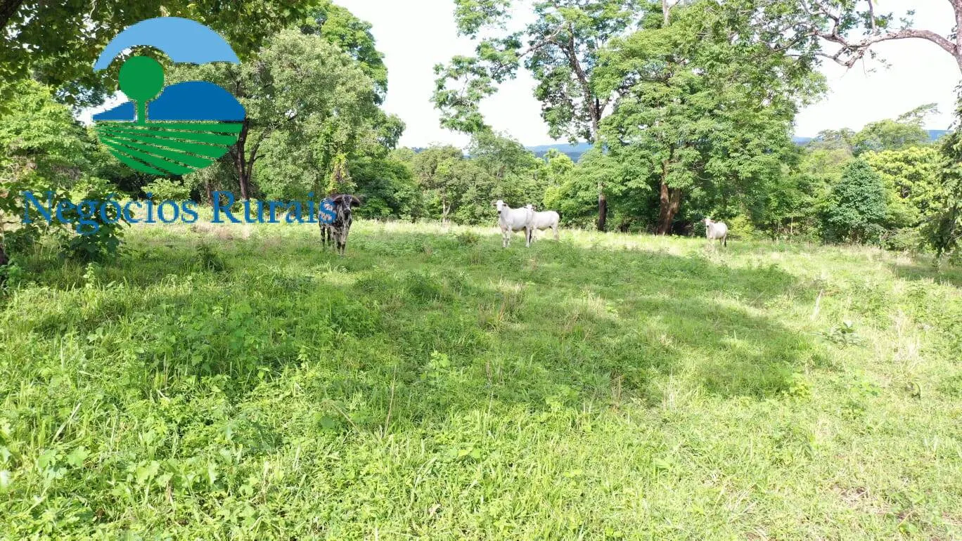 Fazenda à venda de 1.055 ha em Formoso, GO, Brasil