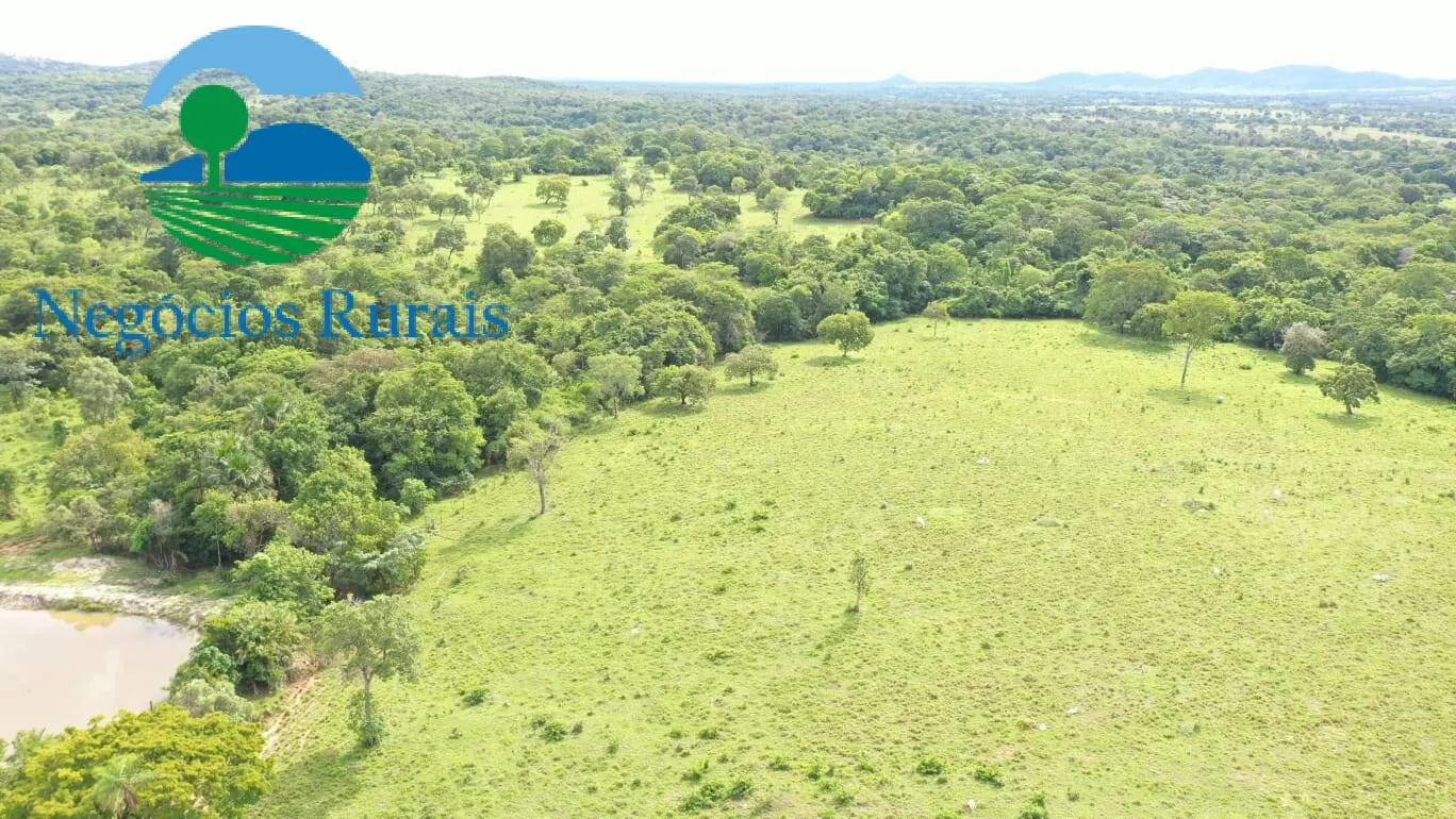 Fazenda à venda de 1.055 ha em Formoso, GO, Brasil