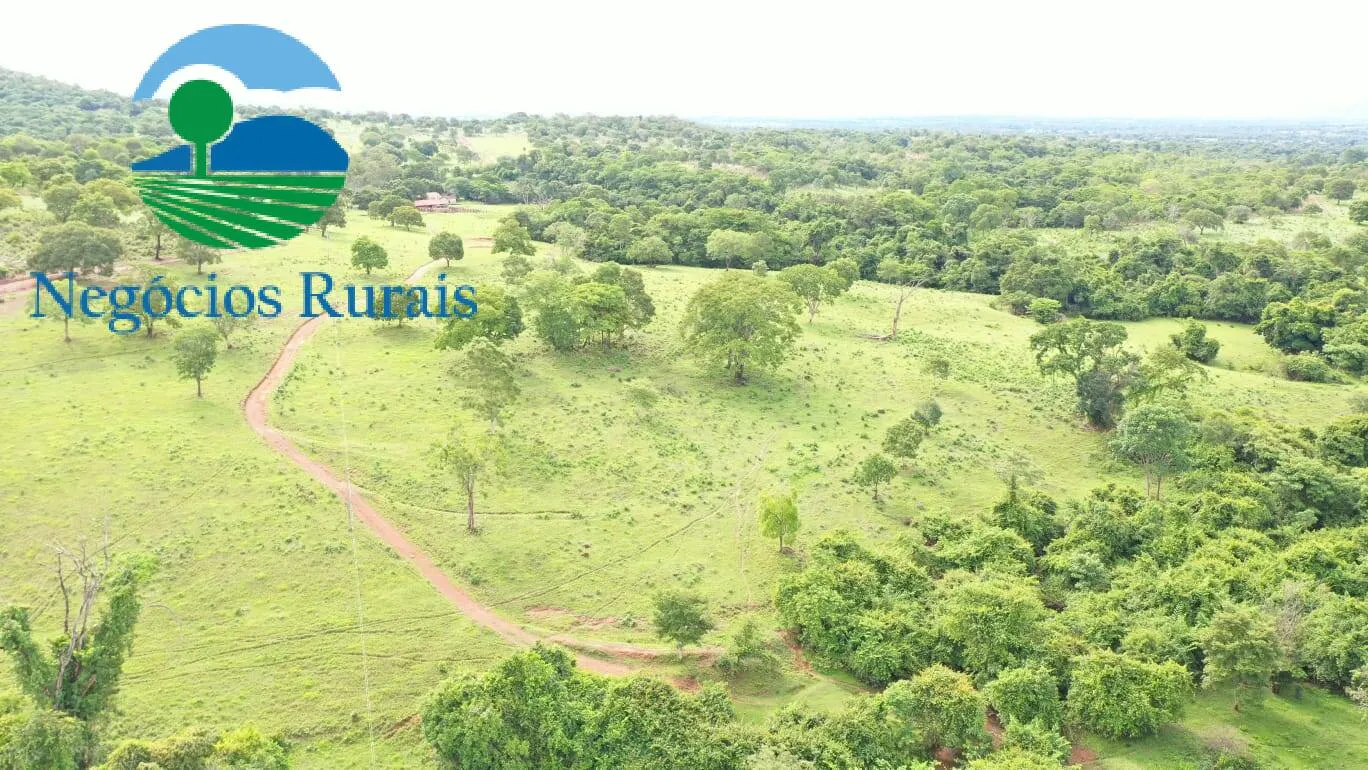 Fazenda à venda de 1.055 ha em Formoso, GO, Brasil