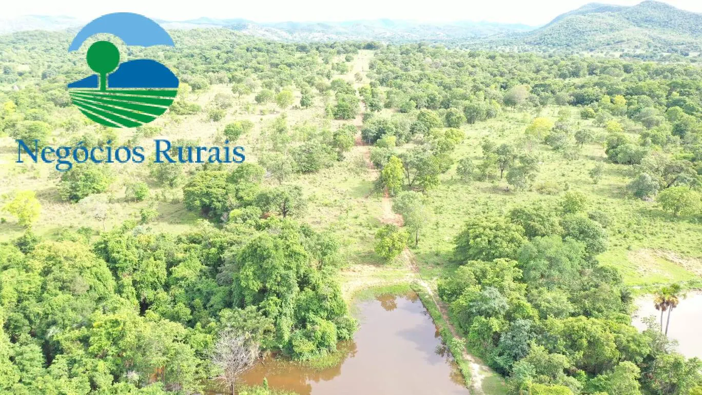 Fazenda à venda de 1.055 ha em Formoso, GO, Brasil