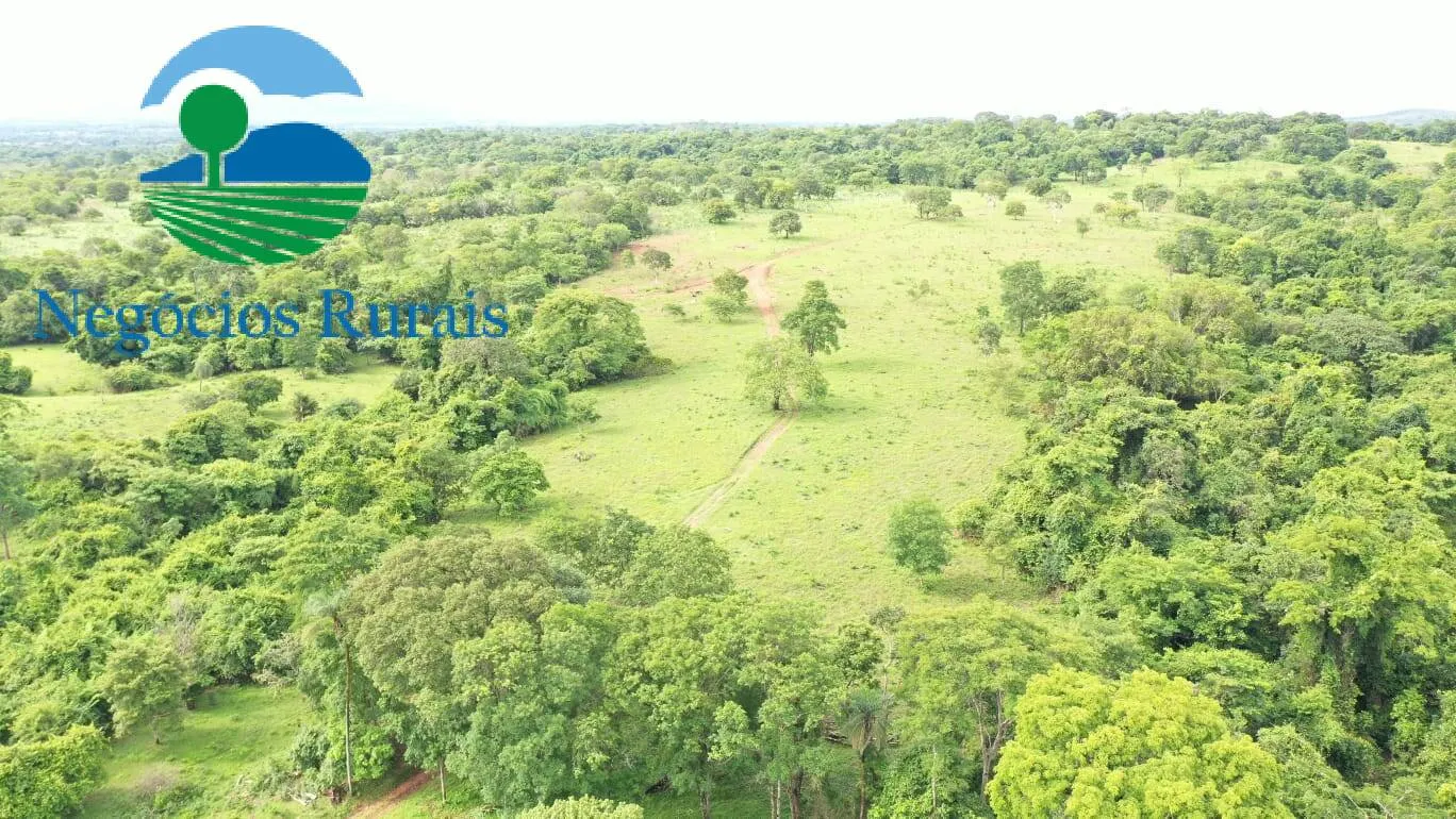 Fazenda à venda de 1.055 ha em Formoso, GO, Brasil