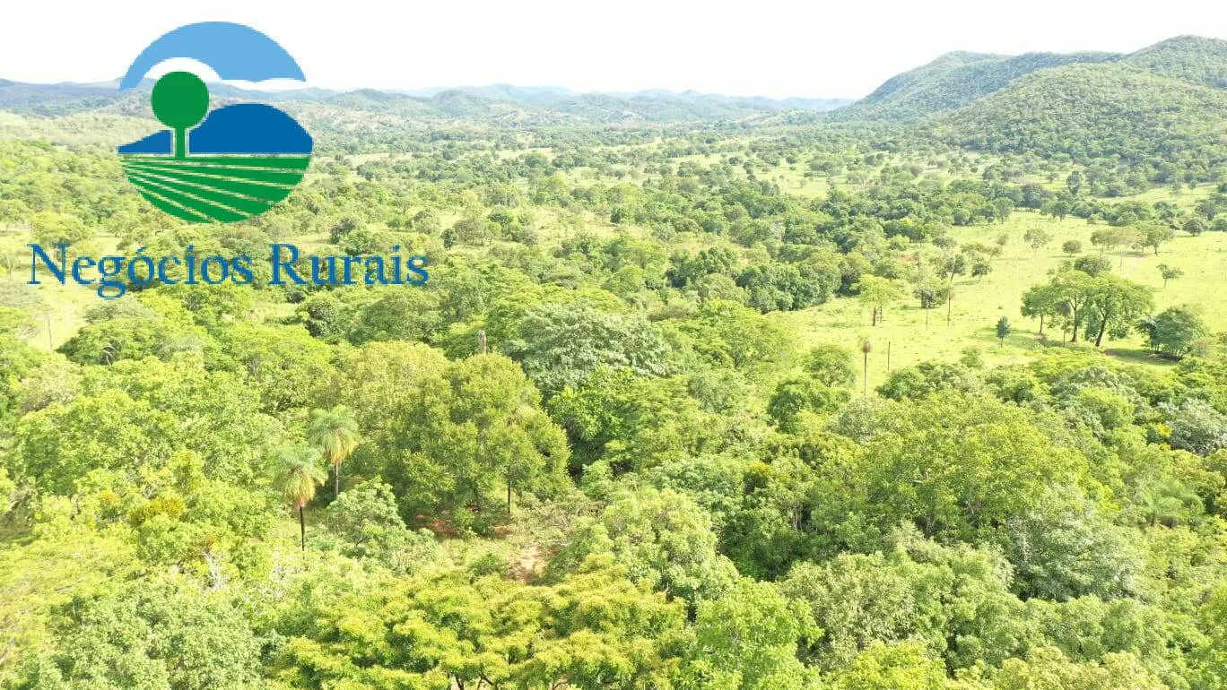 Fazenda à venda de 1.055 ha em Formoso, GO, Brasil
