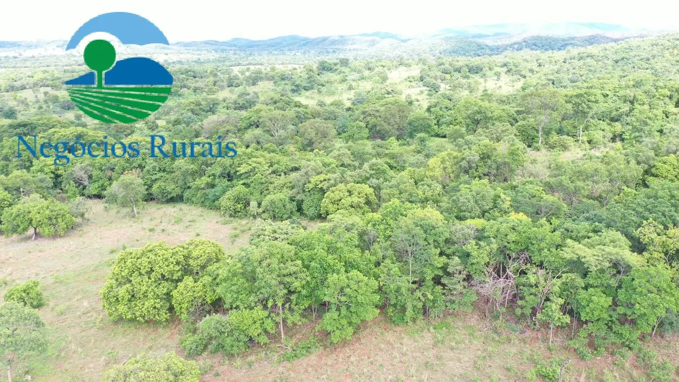 Fazenda à venda de 1.055 ha em Formoso, GO, Brasil