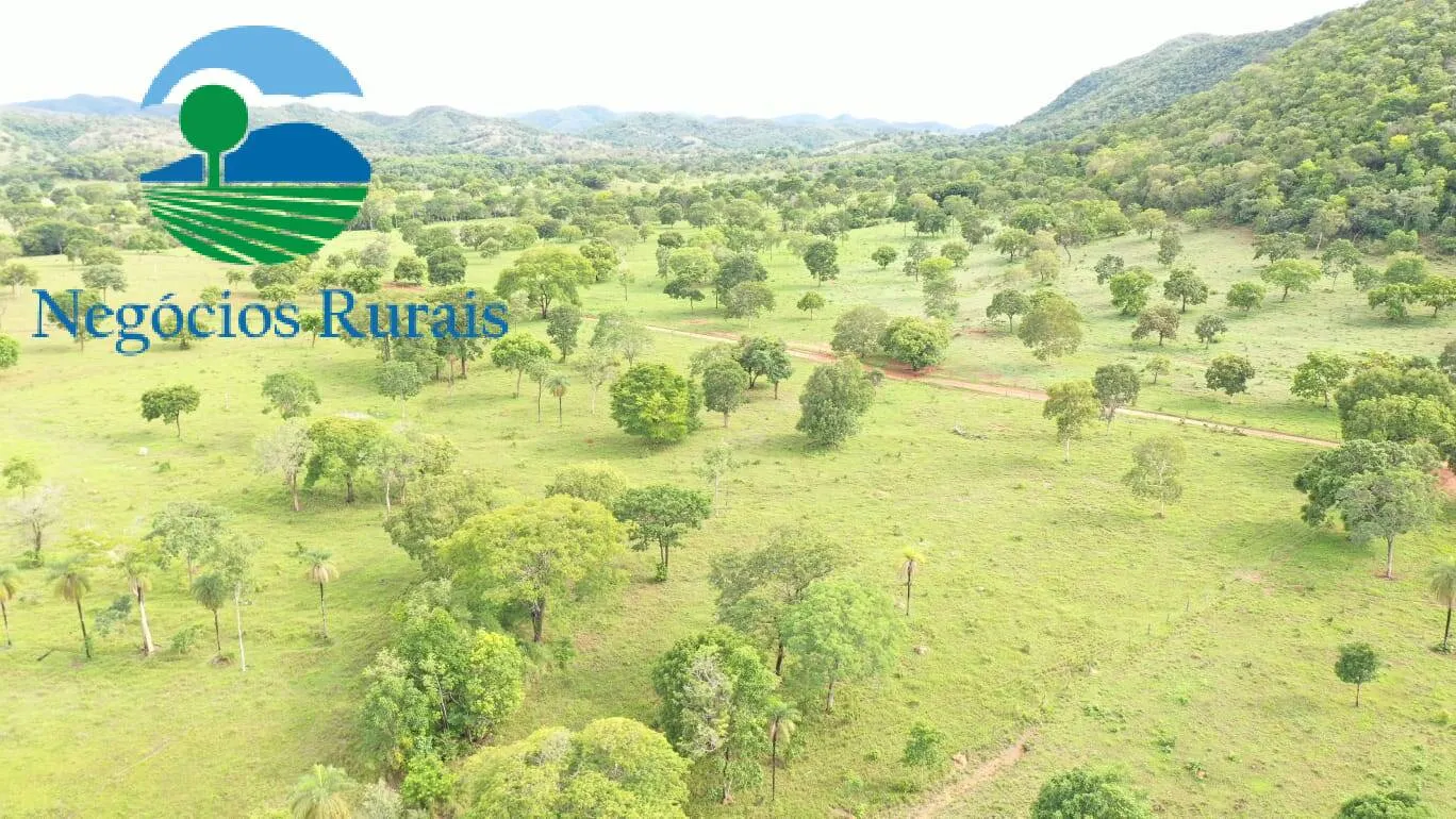 Fazenda à venda de 1.055 ha em Formoso, GO, Brasil