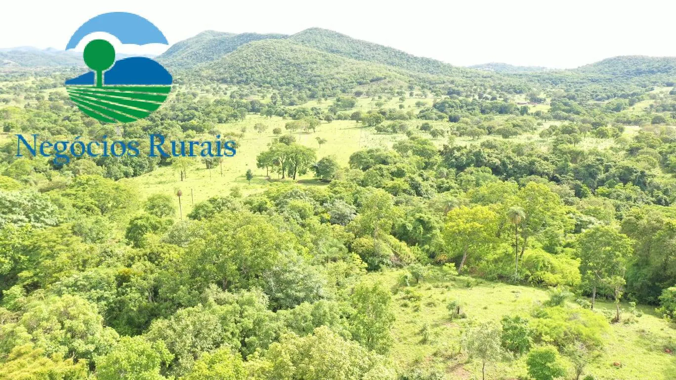 Fazenda à venda de 1.055 ha em Formoso, GO, Brasil