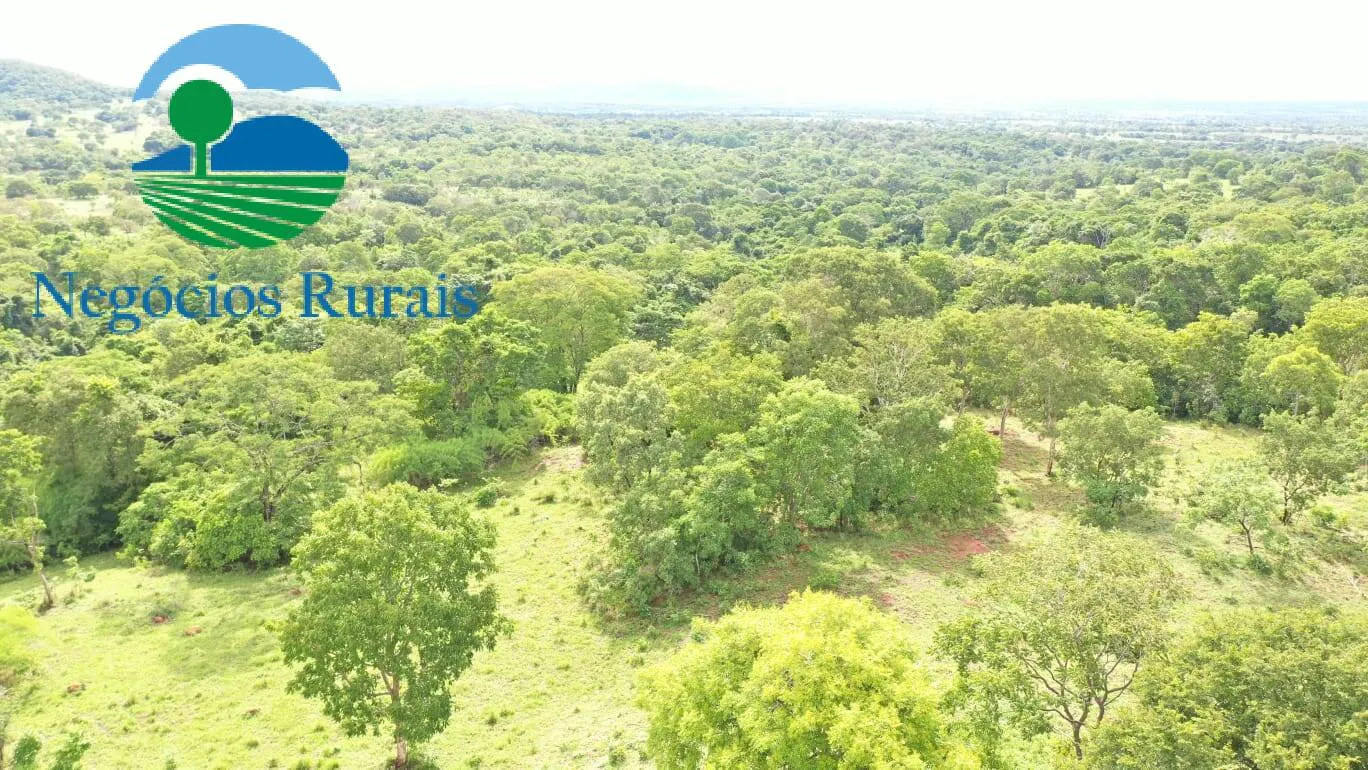 Fazenda à venda de 1.055 ha em Formoso, GO, Brasil