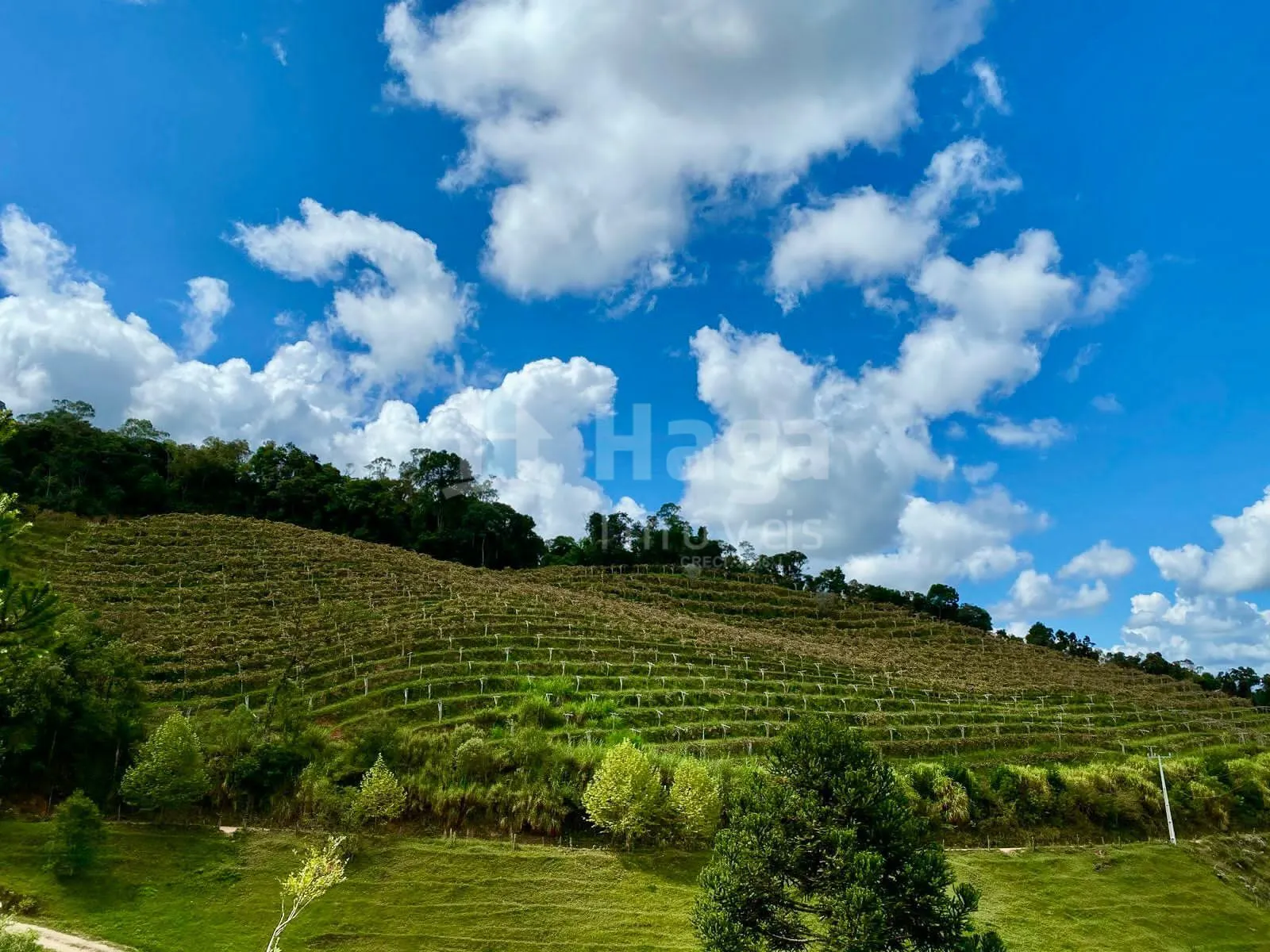 Farm for sale of 31 acres in Angelina, SC, Brazil
