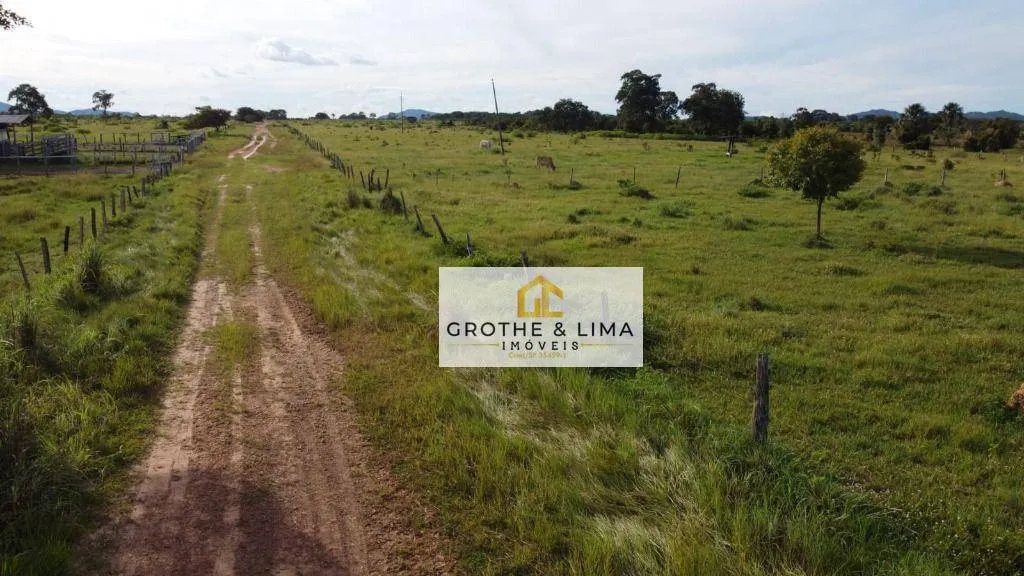 Farm for sale of 2,470 acres in Gurupi, TO, Brazil