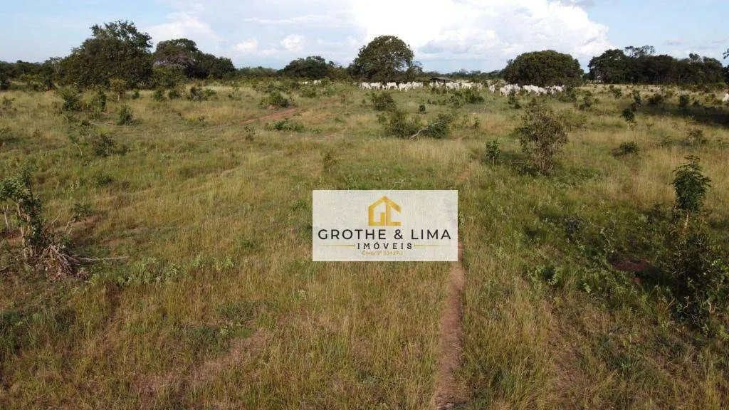 Farm for sale of 2,470 acres in Gurupi, TO, Brazil