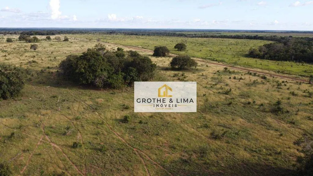 Farm for sale of 2,470 acres in Gurupi, TO, Brazil