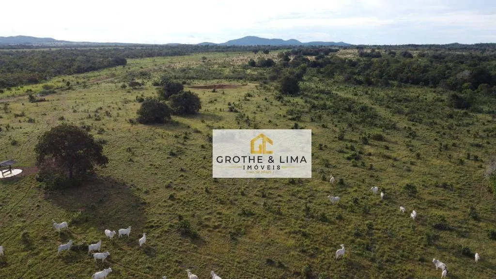 Farm for sale of 2,470 acres in Gurupi, TO, Brazil