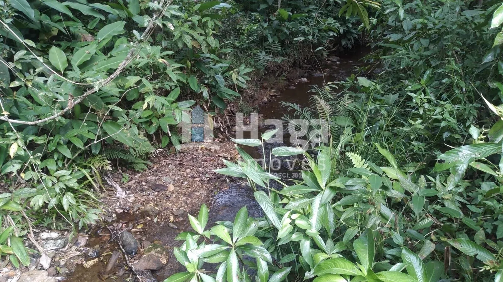 Chácara à venda de 2 ha em Itajaí, SC, Brasil
