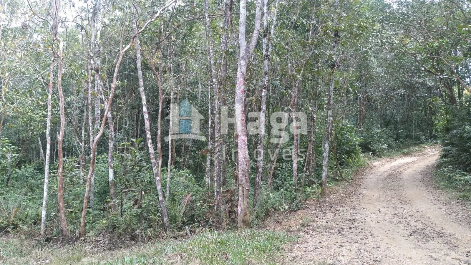 Chácara à venda de 2 ha em Itajaí, SC, Brasil