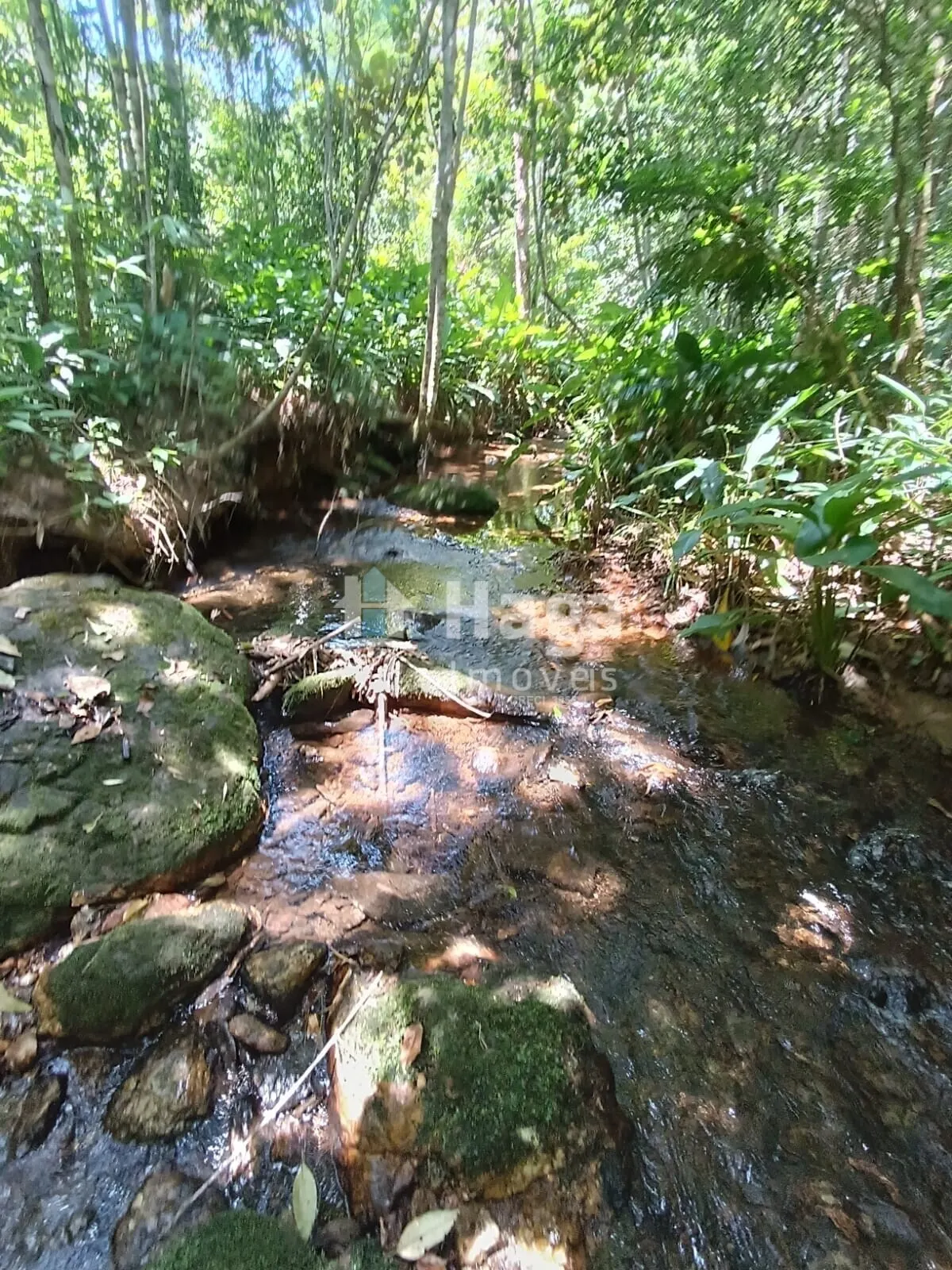 Chácara à venda de 2 ha em Itajaí, SC, Brasil