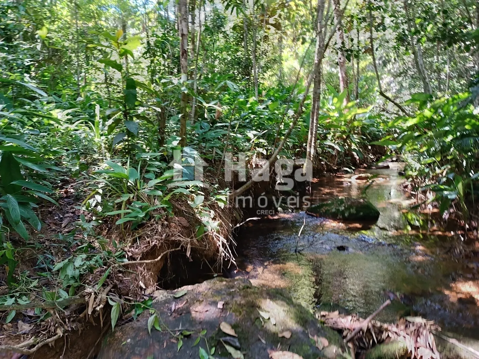 Chácara à venda de 2 ha em Itajaí, SC, Brasil