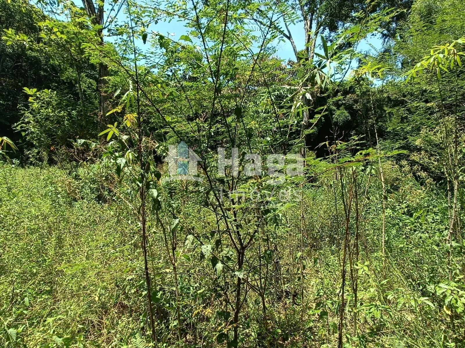 Chácara à venda de 2 ha em Itajaí, SC, Brasil