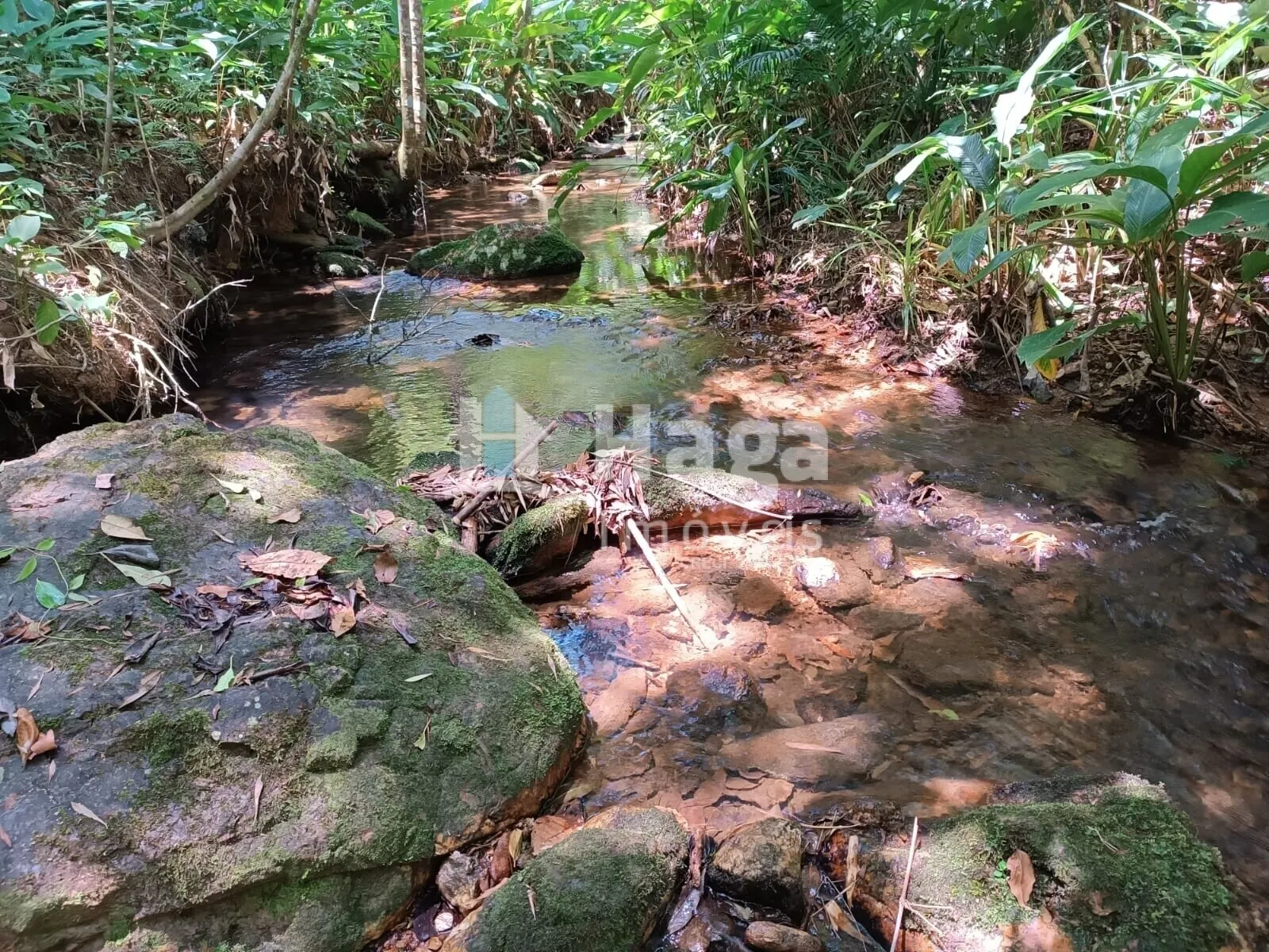 Chácara à venda de 2 ha em Itajaí, SC, Brasil