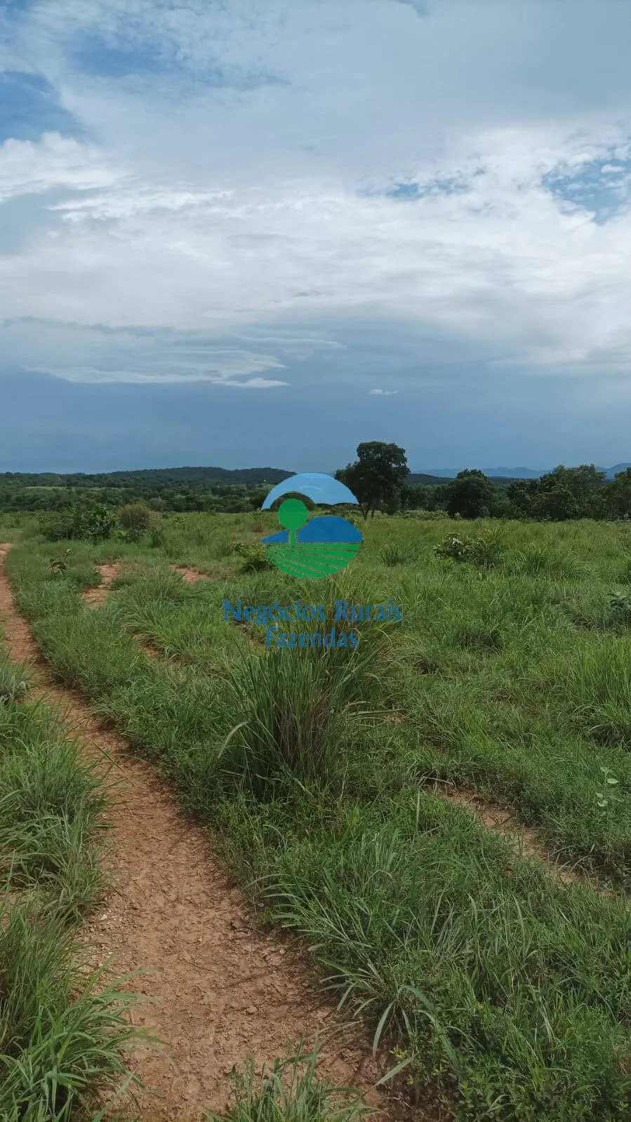 Fazenda à venda de 184 ha em Mara Rosa, GO, Brasil