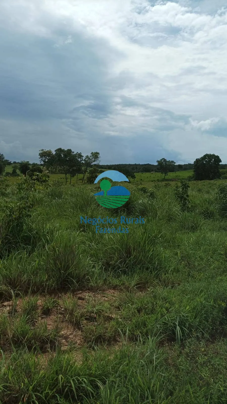 Fazenda à venda de 184 ha em Mara Rosa, GO, Brasil