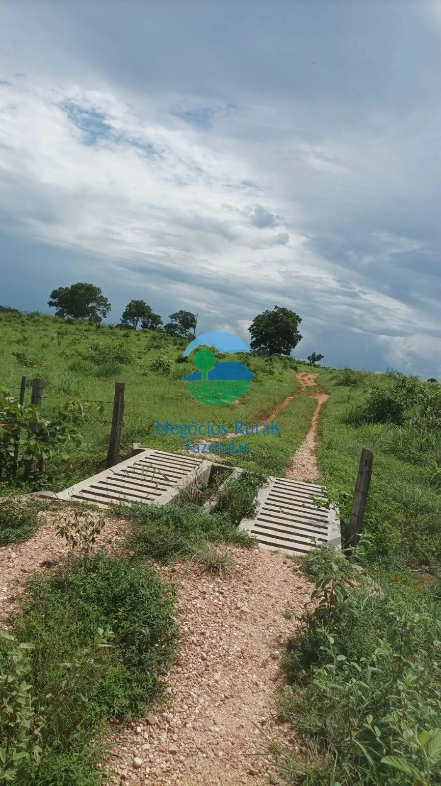 Fazenda à venda de 184 ha em Mara Rosa, GO, Brasil