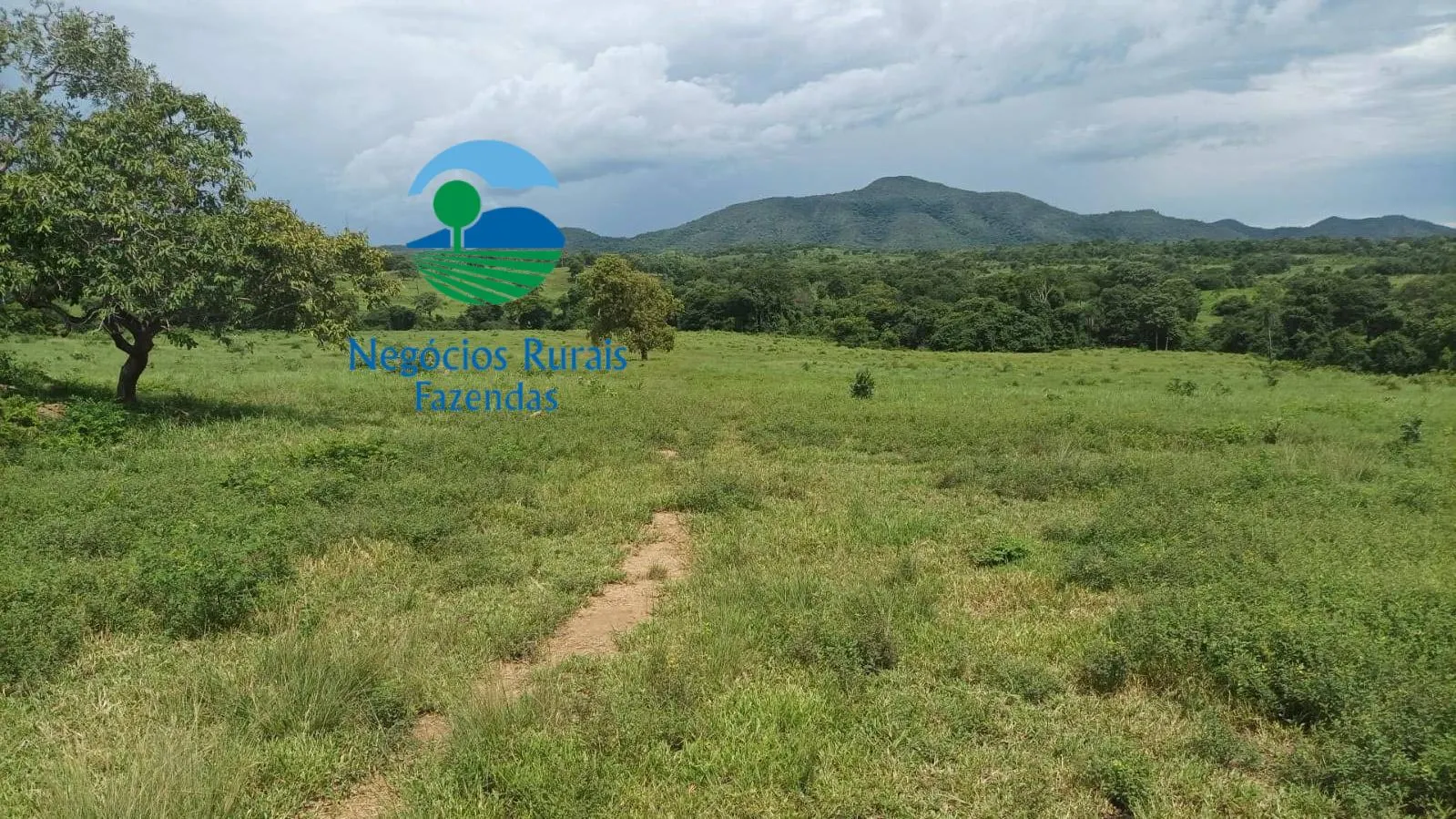 Fazenda à venda de 184 ha em Mara Rosa, GO, Brasil