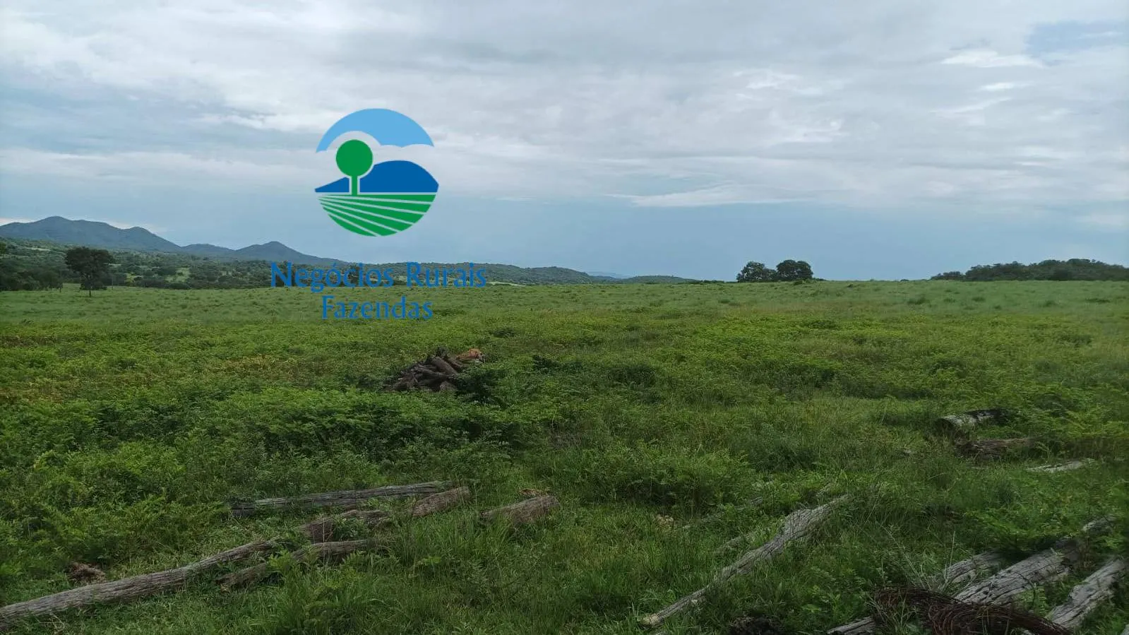 Fazenda à venda de 184 ha em Mara Rosa, GO, Brasil