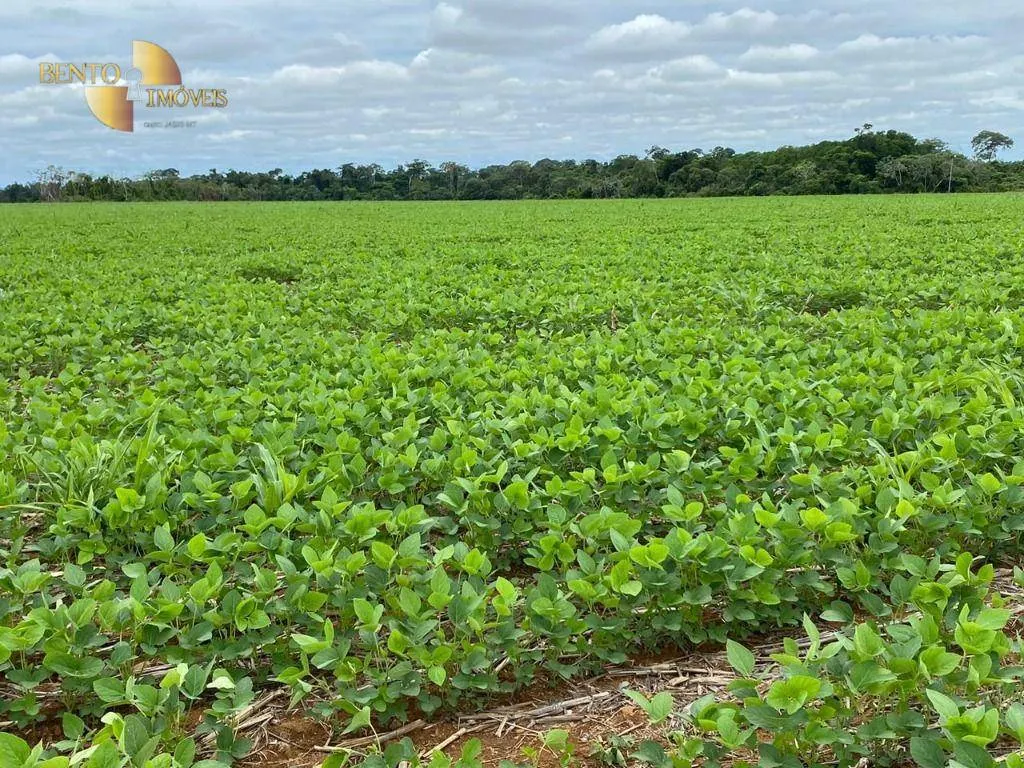 Farm for sale of 15,321 acres in Nova Mutum, MT, Brazil