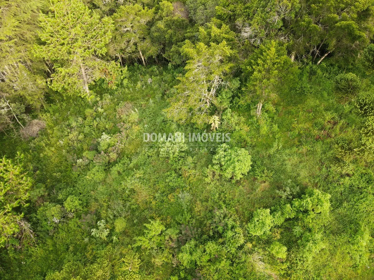 Plot for sale of 2,100 m² in Campos do Jordão, SP, Brazil