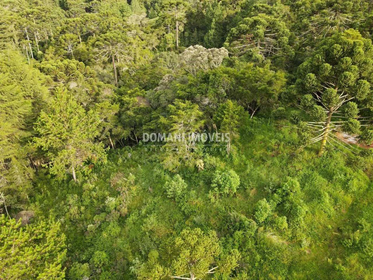 Plot for sale of 2,100 m² in Campos do Jordão, SP, Brazil