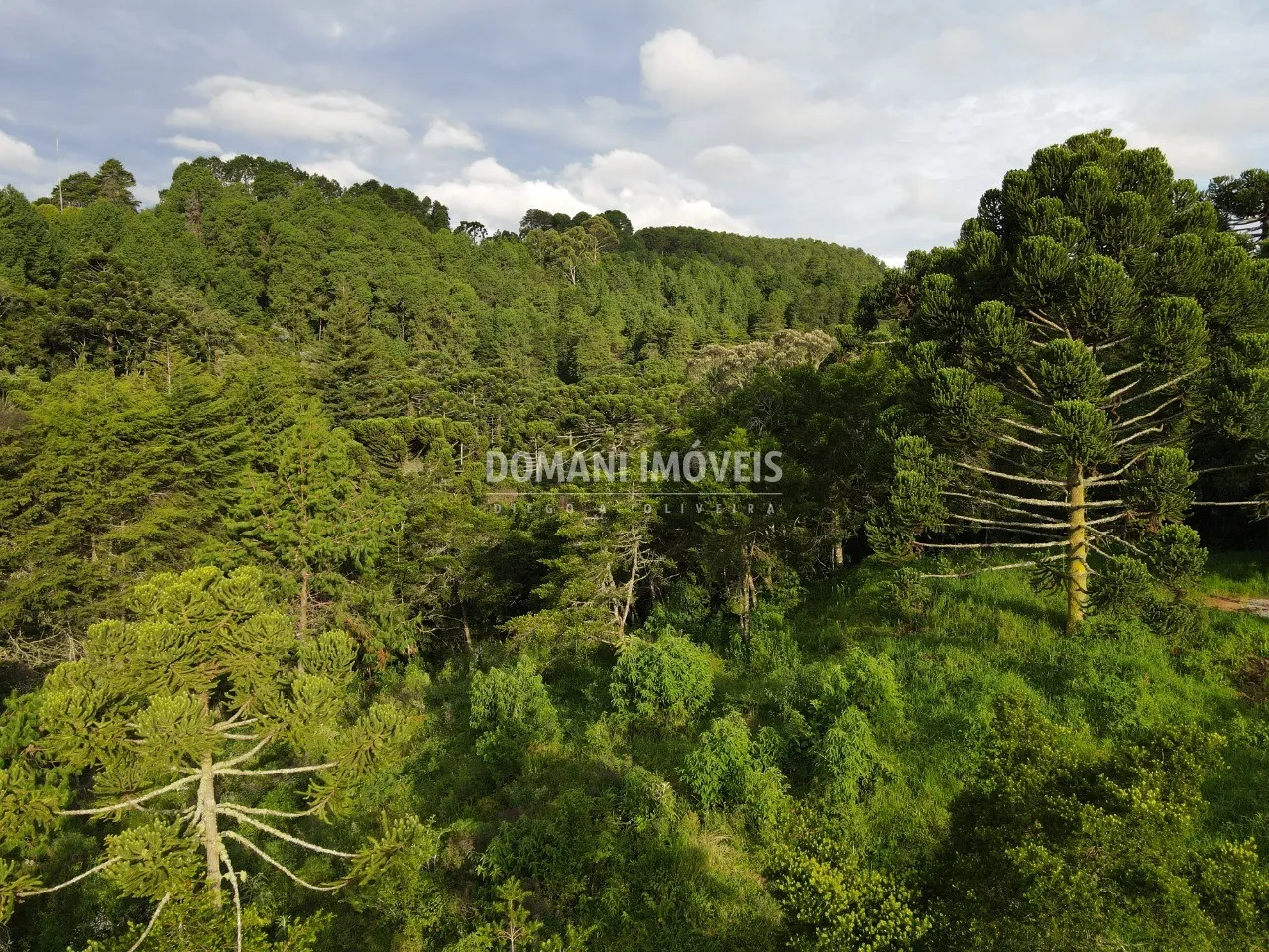 Plot for sale of 2,100 m² in Campos do Jordão, SP, Brazil