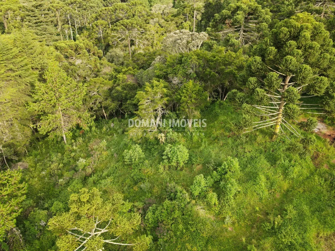 Plot for sale of 2,100 m² in Campos do Jordão, SP, Brazil