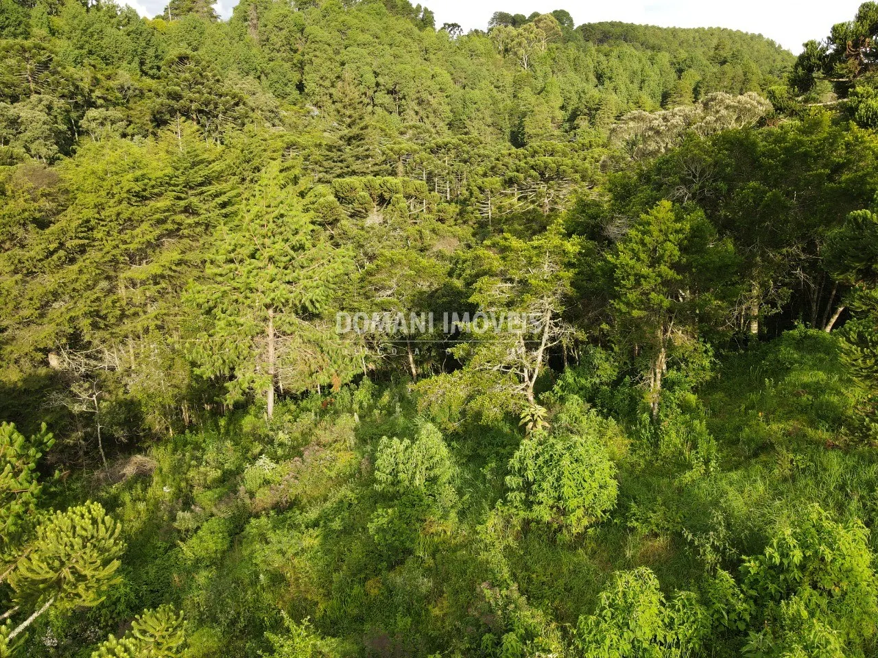 Plot for sale of 2,100 m² in Campos do Jordão, SP, Brazil