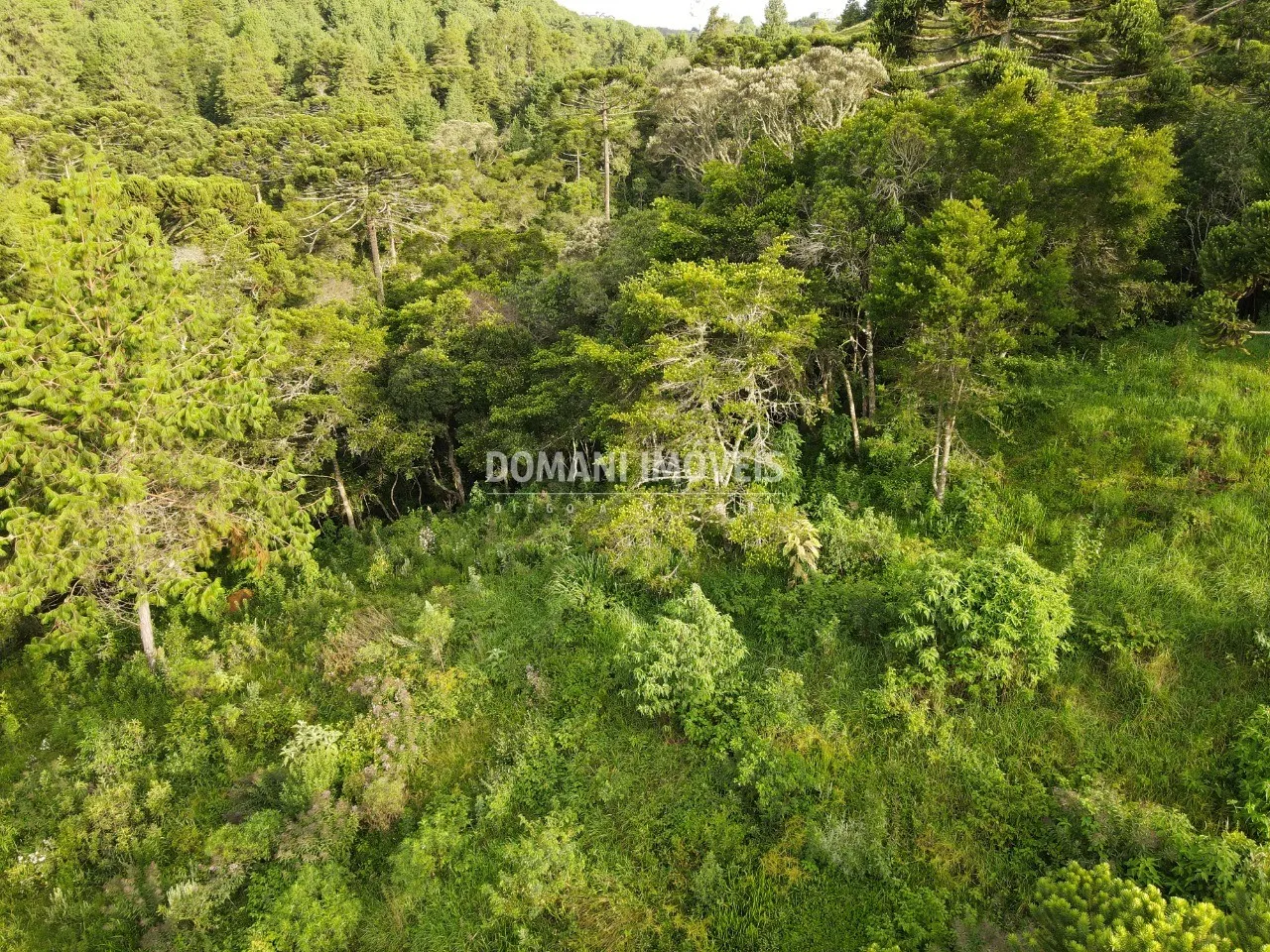 Plot for sale of 2,100 m² in Campos do Jordão, SP, Brazil
