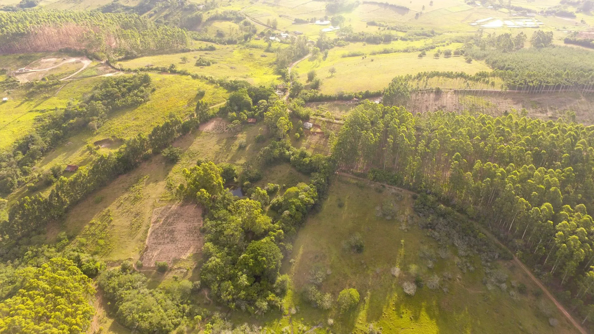 Chácara à venda de 1 ha em Taquara, RS, Brasil