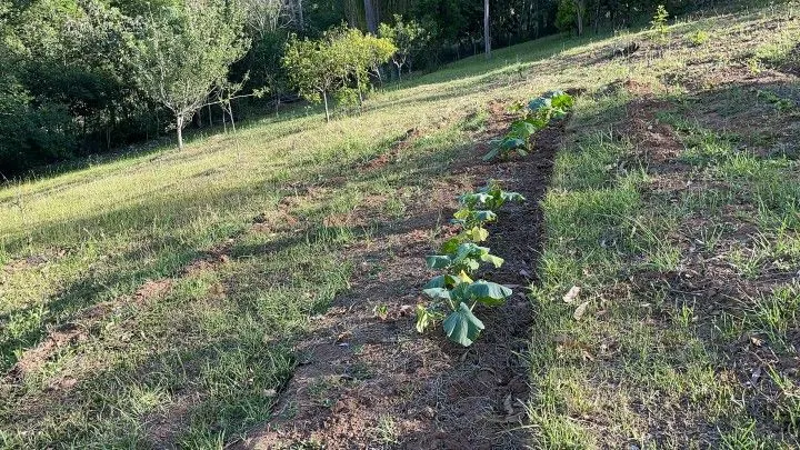 Country home for sale of 2 acres in Taquara, RS, Brazil