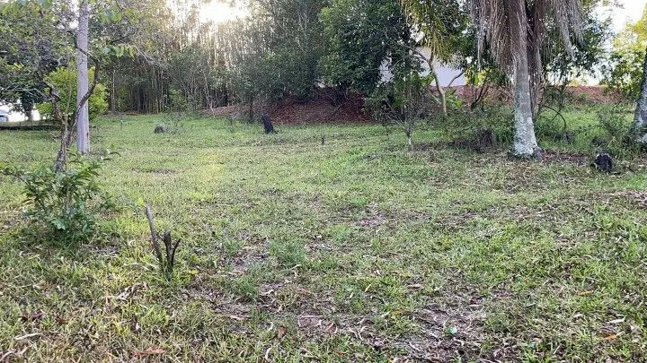 Country home for sale of 2 acres in Taquara, RS, Brazil