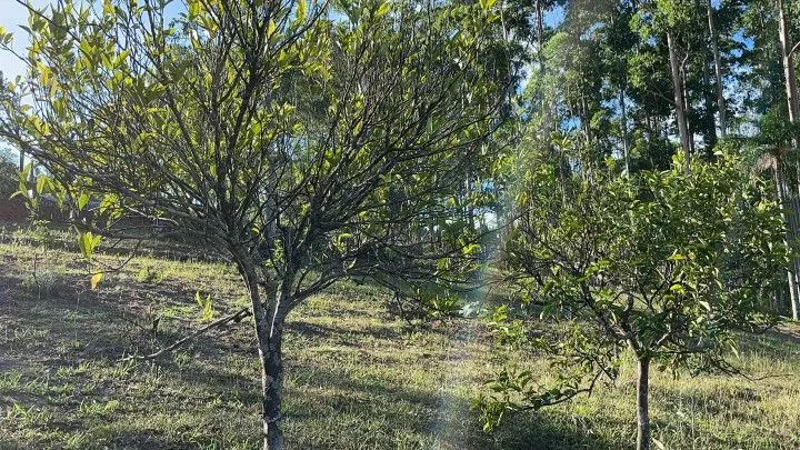 Country home for sale of 2 acres in Taquara, RS, Brazil