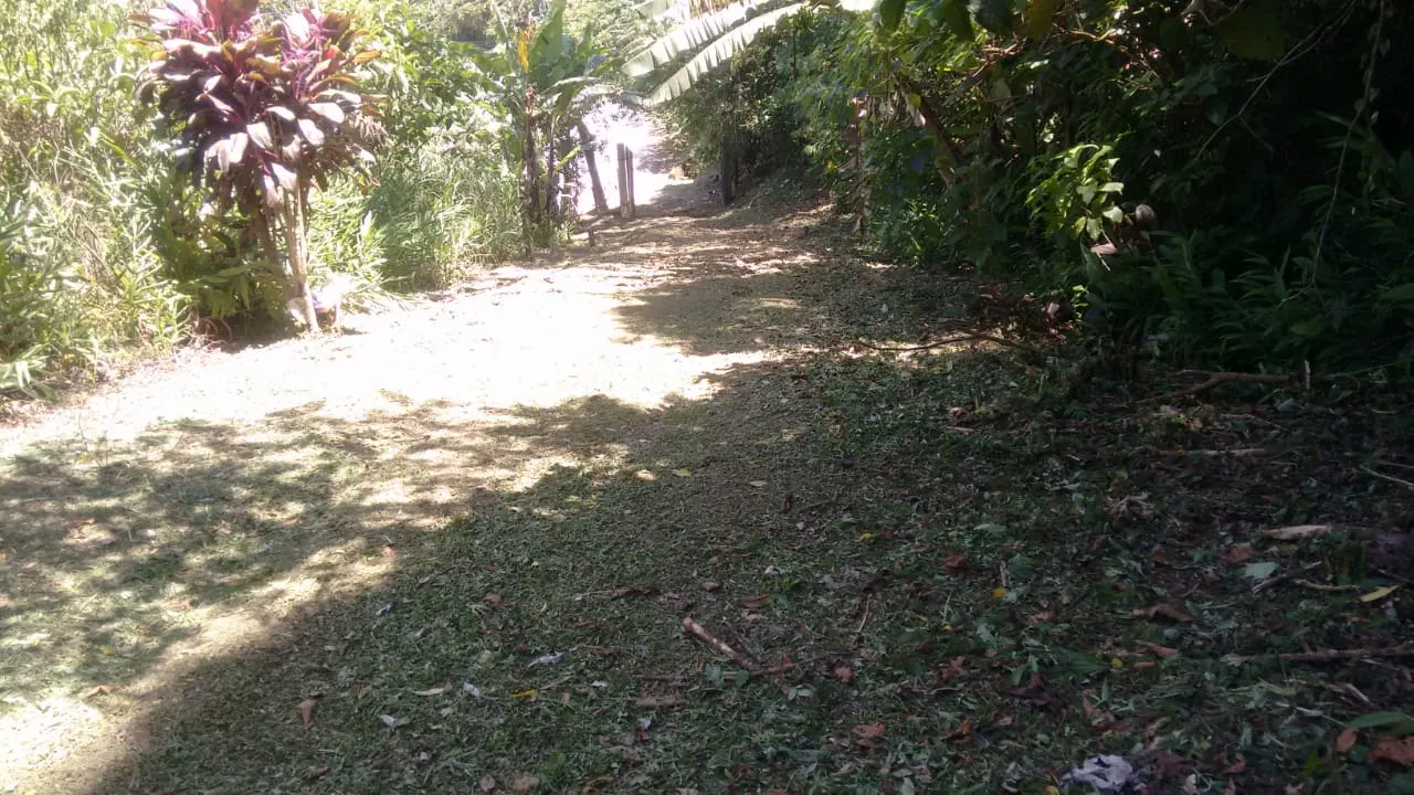 Terreno à venda de 240 ha em Angra dos Reis, RJ, Brasil