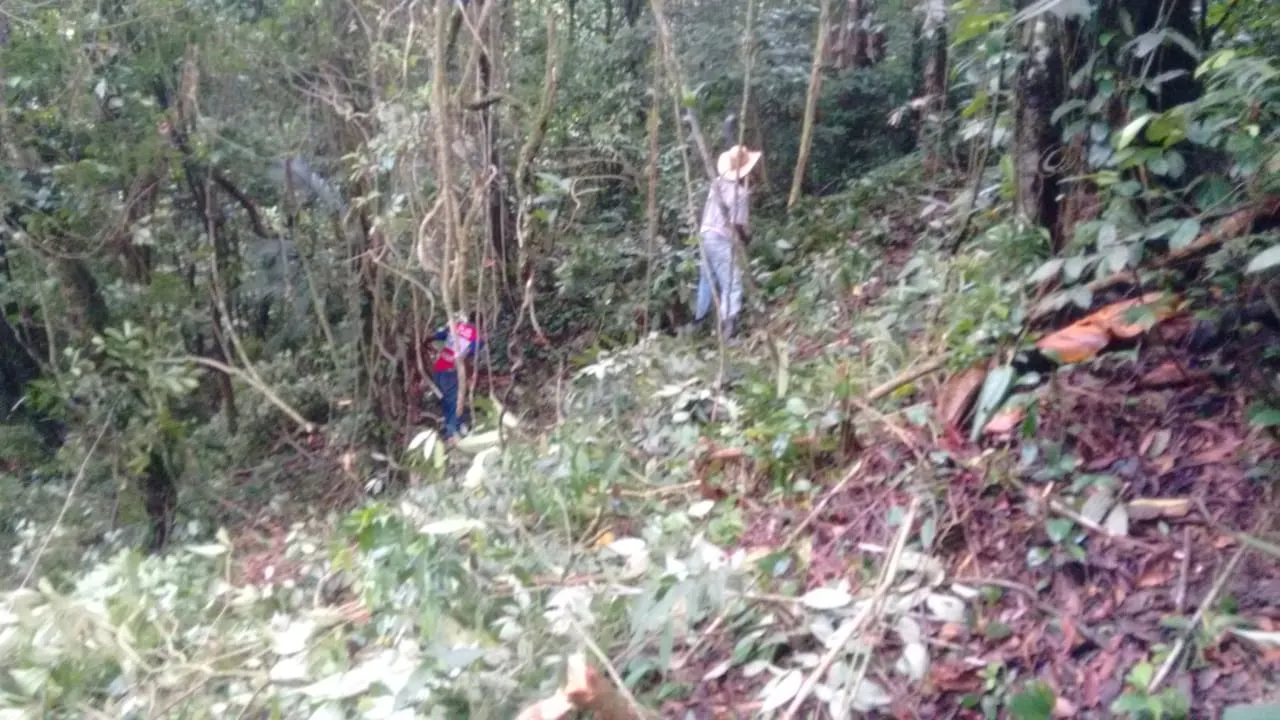 Terreno à venda de 240 ha em Angra dos Reis, RJ, Brasil