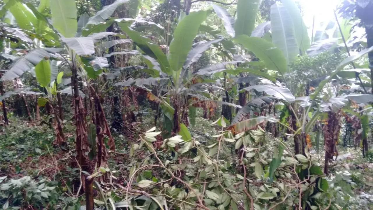 Terreno à venda de 240 ha em Angra dos Reis, RJ, Brasil