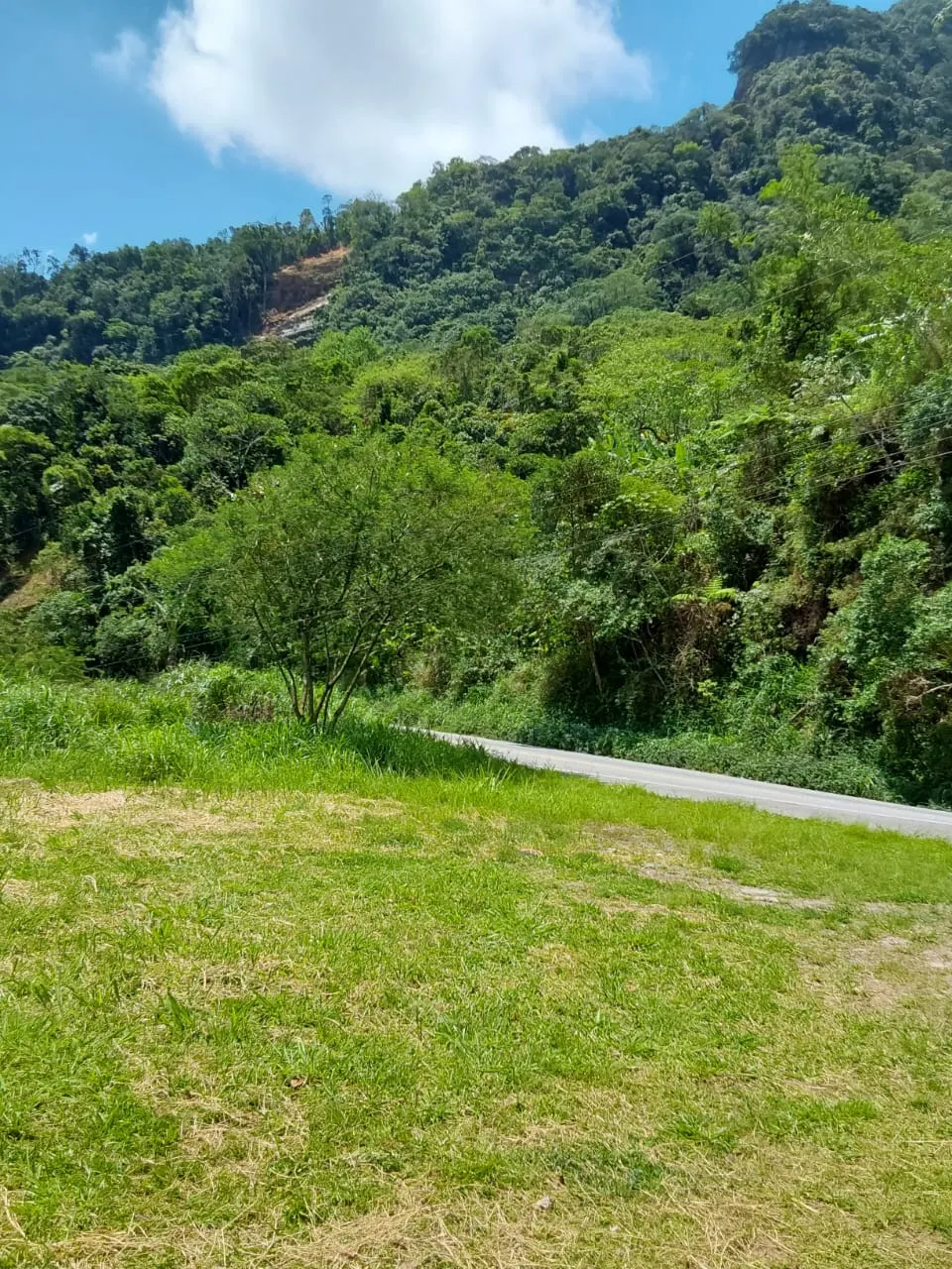 Terreno à venda de 240 ha em Angra dos Reis, RJ, Brasil